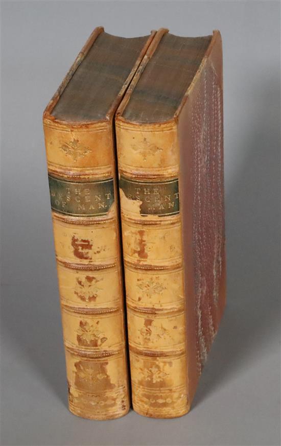 Darwin, Charles - The Descent of Man, and Selection in Relation to Sex, 1st edition, 1st issue, 2 vols, numerous